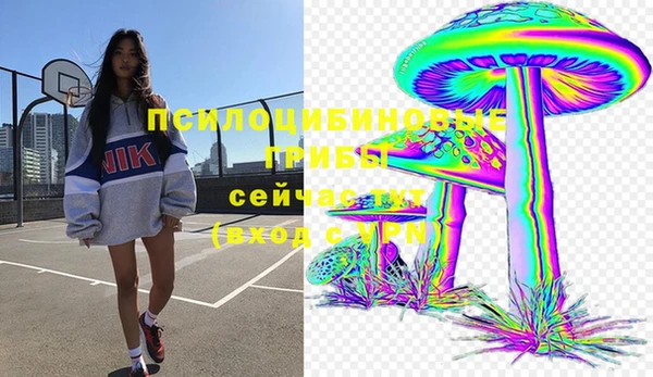 дживик Алзамай