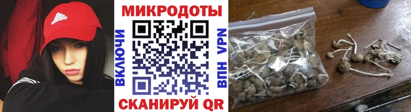 Галлюциногенные грибы мицелий  где купить наркоту  Солнечногорск 